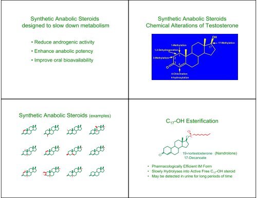 Detection and Analysis of the New “Designer Steroids”