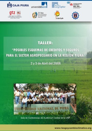 Memoria Taller Posibles Esquemas de Seguros Piura - GestiÃ³n del ...