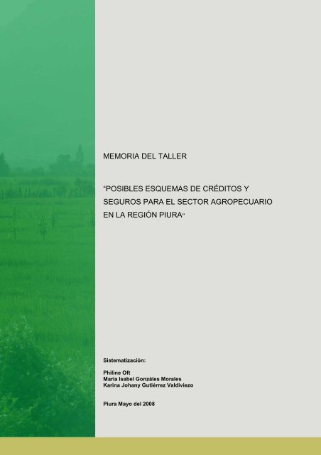 Memoria Taller Posibles Esquemas de Seguros Piura - GestiÃ³n del ...