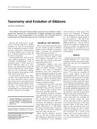 Taxonomy and Evolution of Gibbons