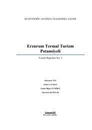 Erzurum Termal Turizm Potansiyeli - Kudaka