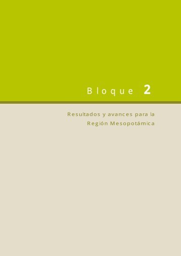 Bloque 2 Resultados y avances para la Región Mesopotámica