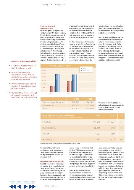 Raport Anual 2004 - Rompetrol.com