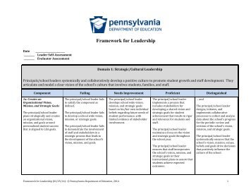 Domain 1: Strategic/Cultural Leadership - SAS