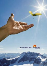Annual Report 2006 - Rompetrol.com