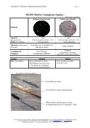 PrÃ©lÃ¨vements MCE - Laboratoire VÃ©tÃ©rinaire DÃ©partemental du ...