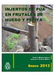 injertos de pÃºa en frutales de hueso y pepita - AgroCabildo