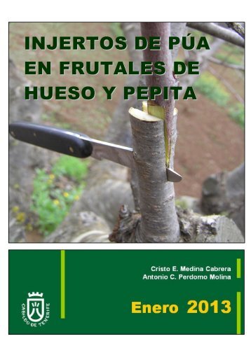 injertos de pÃºa en frutales de hueso y pepita - AgroCabildo