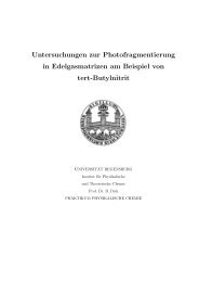 Versuch Matrix.pdf - Prof. Dr. Bernhard Dick - UniversitÃ¤t Regensburg