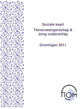 Sociale kaart Tienerzwangerschap & Jong ouderschap Groningen ...