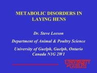 METABOLIC DISORDERS IN LAYING HENS