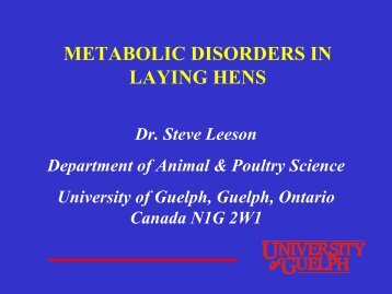 METABOLIC DISORDERS IN LAYING HENS