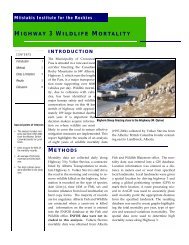 Crowsnest Pass Wildlife Mortality Report - Miistakis Institute for the ...