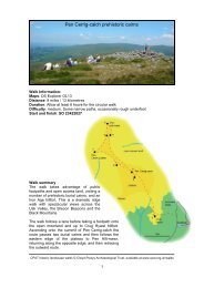 Pen Cerrig-calch prehistoric cairns - Clwyd-Powys Archaeological ...