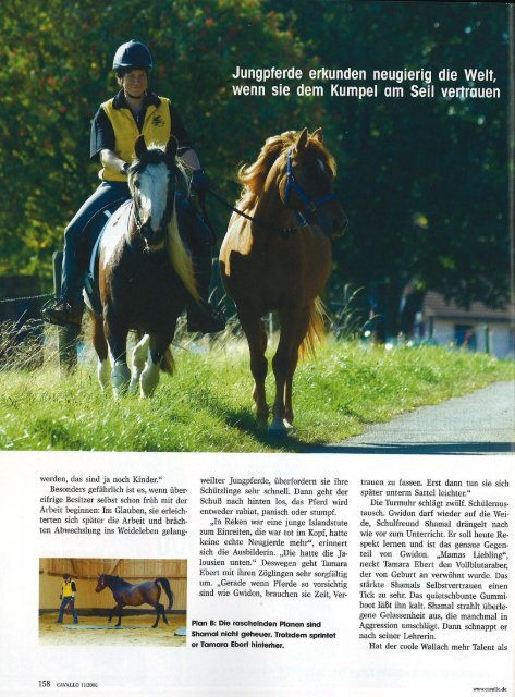 Bericht aus der Zeitschrift Cavallo, Heft November 2006