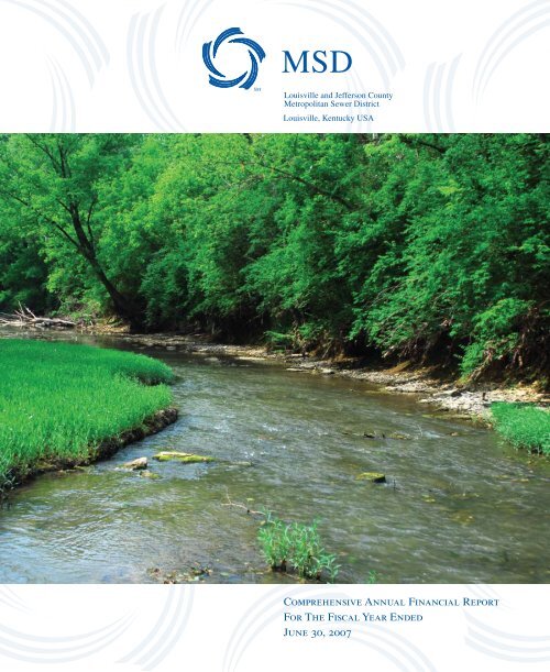 Comprehensive Annual Financial Report 2007 - MSD