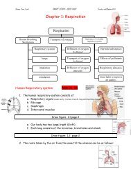 CHAPTER 1 RESPIRATION - WordPress.com