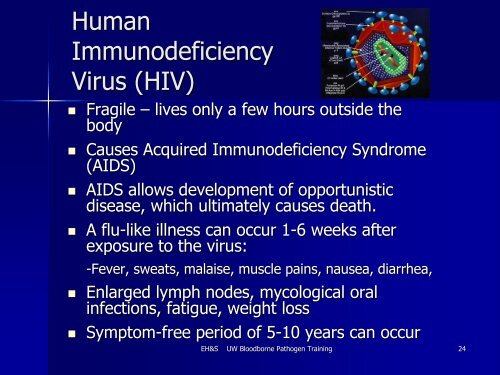 Bloodborne Pathogens PowerPoint - Environmental Health and Safety