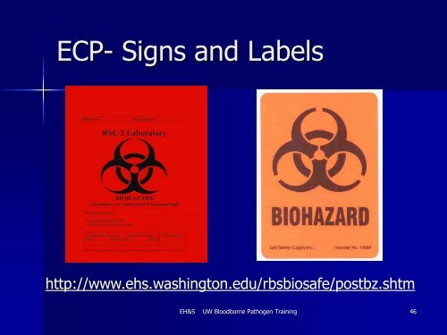 Bloodborne Pathogens PowerPoint - Environmental Health and Safety