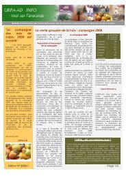 La vente groupÃ©e de la noix : campagne 2008 - Le Portail Cajou BÃ©nin