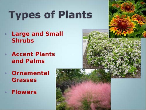 Salt Tolerant Plants Presentation - Pender County Center