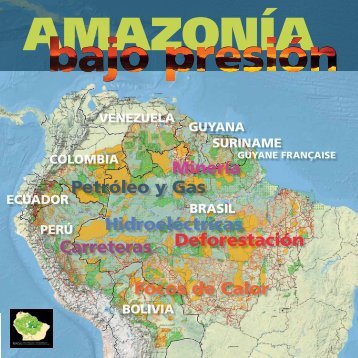 AmazonÃ­a bajo presiÃ³n - RAISG - Instituto Socioambiental