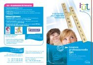 Licence professionnelle GPI - (IUT) Saint-Etienne - Université Jean ...