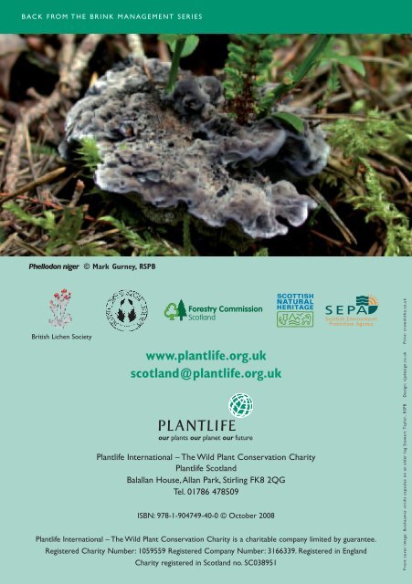 Scotland's rare tooth fungi: - Plantlife