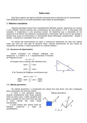 Saiba mais 1. Vetores e escalares - Rived