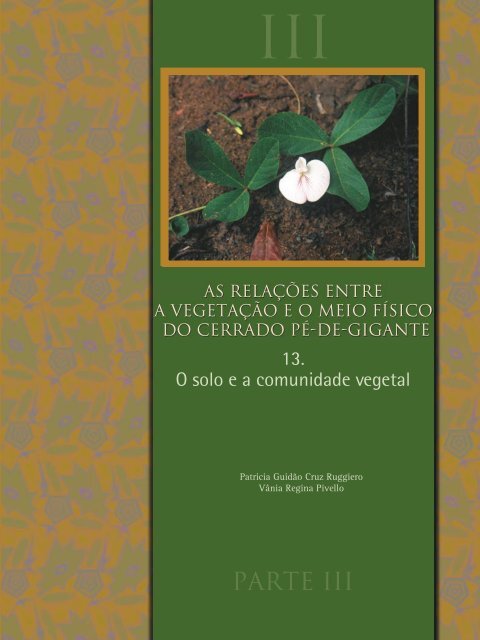 CAP 13 -O Solo e a Comunidade Vegetal. In PIVELLO, V. R. ...