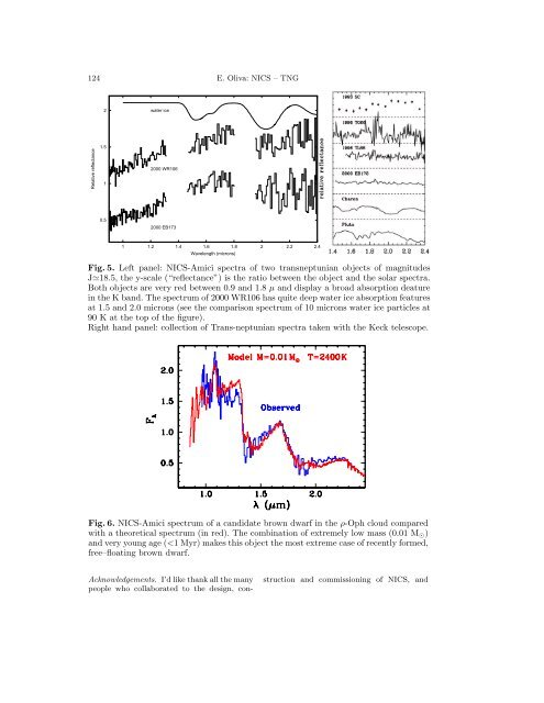 NICS, the Near Infrared Camera-Spectrometer of the TNG