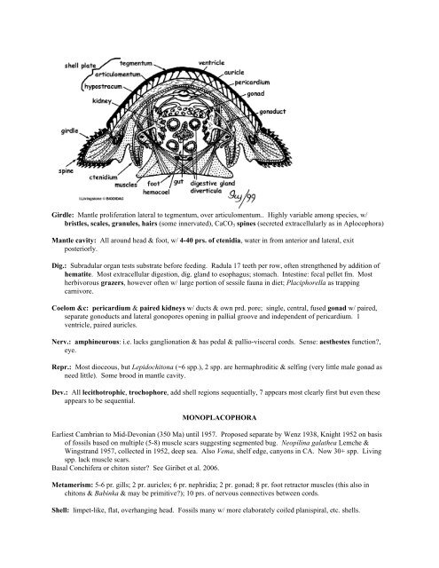 Lecture Notes 8: Mollusca - Biology Major