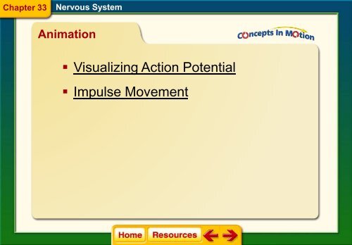 Chapter 33 The Nervous System.pdf