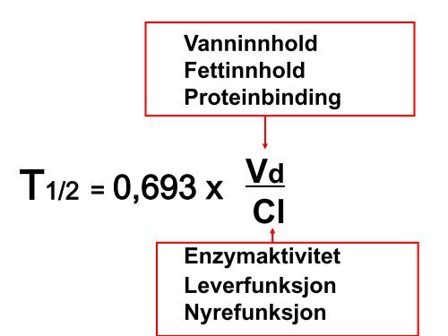 Trond Aamo