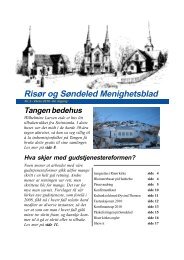 Nummer 2, vÃ¥ren 2010 - RisÃ¸r kirkelige fellesrÃ¥d - Den norske kirke