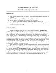 1 GENERAL BIOLOGY LAB 1 (BSC1010L) Lab #4: Biologically ...