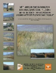Wetlands in the Farmington Bay area, Davis and Salt Lake Counties ...