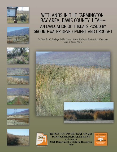 Wetlands in the Farmington Bay area, Davis and Salt Lake Counties ...
