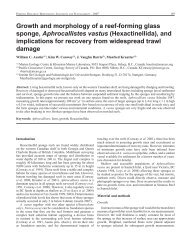 Growth and morphology of Aphrocallistes vastus.pdf - Porifera Brasil