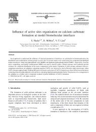 Influence of active sites organisation on calcium carbonate formation ...