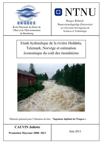 PDF (Rapport) - ENGEES