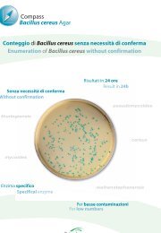 Compass Bacillus cereus - Did