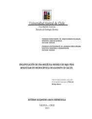 Caminante USAC - ⇒ ¿Sabías que…? Las apariciones del