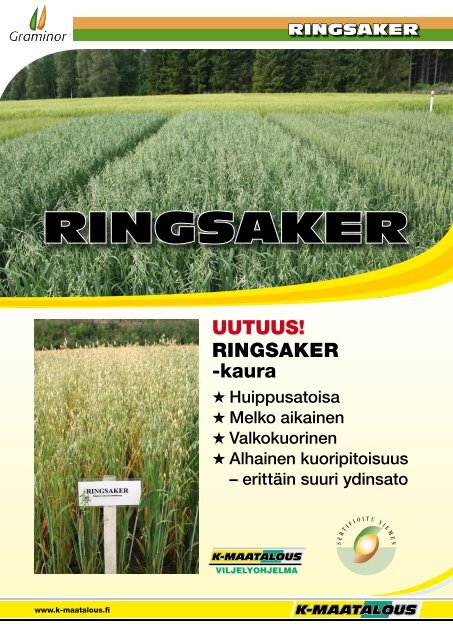 Ringsaker kaura A4 esite - K-maatalous