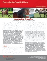 Tips on Buying Your First Horse - Rutgers Equine Science Center ...