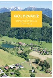 Bürgerinformation Juni 2013 - Gemeinde Goldegg