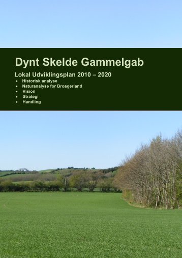 Dynt Skelde Gammelgab udviklingsplan - SÃ¸nderborg kommune pÃ¥ ...
