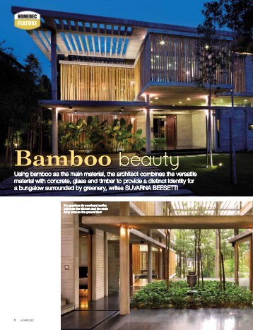 Bamboo beauty