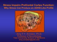 Amy Arnsten: Stress Impairs Prefrontal Cortex Function