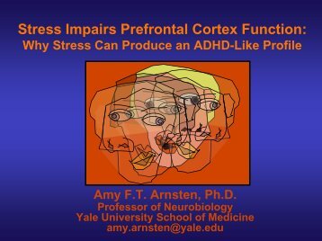 Amy Arnsten: Stress Impairs Prefrontal Cortex Function